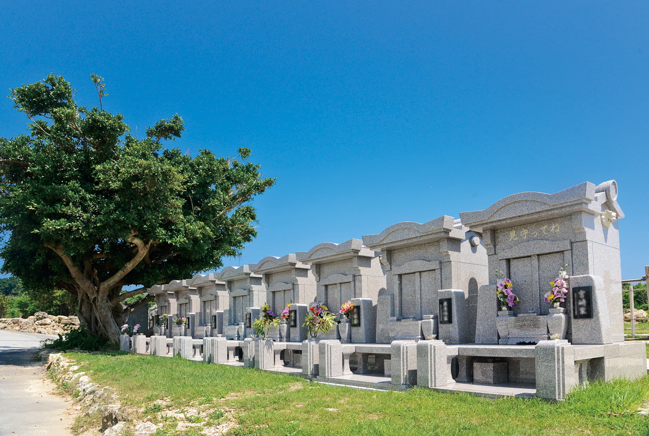 標準区画が並ぶ風景