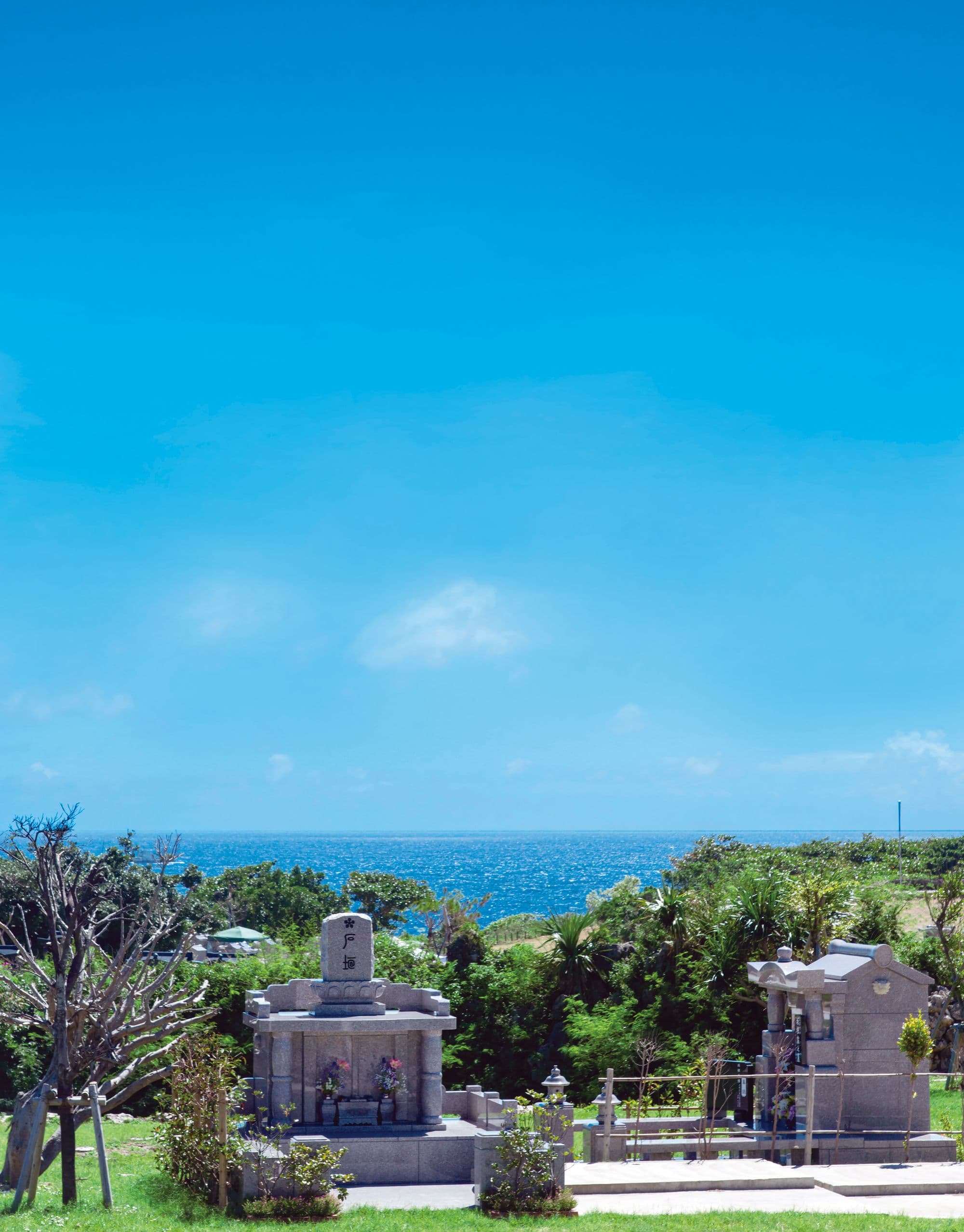 青空と海を望む墓地