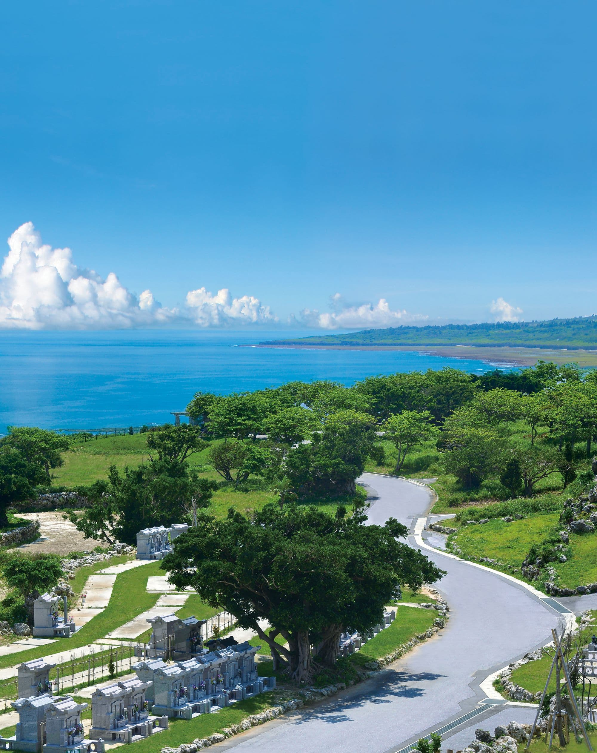 太平洋を望む絶景
